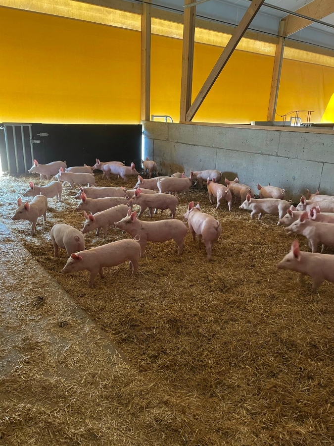 Kerneis Charpentier Landivisiau IMG 20230209 WA0027